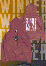 Load image into Gallery viewer, fanideaz Mens Cotton Graphic PUBG Printed Hooded Sweatshrits for Men